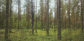 Stocks to Watch: गैपडाउन खुलेगा मार्केट! HDFC Bank, RITES… Stocks