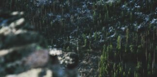 कहानी मेरी जुबानी: जीत का दावा, विरोधियों पर वार… केरल … कहानी