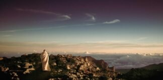 उदयपुर, राजकोट के पालतू श्वानों का अहमदाबाद के श्वान श्मश… उदयपुर