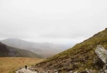 एफसी गोवा ने चेन्नइयिन एफसी से ड्रा खेला – Press Trust of… एफसी