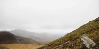 एफसी गोवा ने चेन्नइयिन एफसी से ड्रा खेला – Press Trust of… एफसी