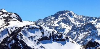 केरल के चुनावी मैदान में उतरेंगे CM साय, दो नामांकन रैली … केरल