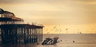 Chandigarh News: दिल्ली-पंजाब-उत्तराखंड ने दिखाया दम – Am… Chandigarh