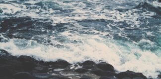 हिमाचल बजट में पत्रकारों की अनदेखी पर प्रदेश में रोष – Da… हिमाचल