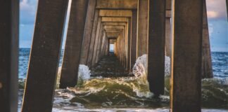 महाराष्ट्र में पुजारियों ने श्रद्धालुओं को लात-घूसों से प… महाराष्ट्र