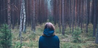 Castrol समेत ये 9 स्टॉक्स, डिविडेंड से बोनस तक के फायदों … Castrol