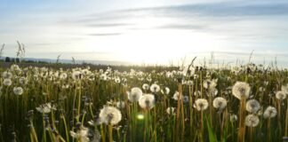 Auto Stocks: मारुति सुजुकी, M&M सहित इन 14 शेयरों में… Auto