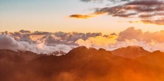 Chandigarh Fire: चंडीगढ़ के इंडस्ट्रियल एरिया फेज-2 की इल… Chandigarh