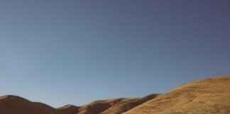 शुभमन गुजरात टाइटंस की टीम से जुड़े – Express Media Service शुभमन