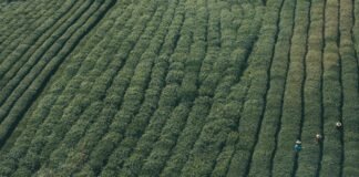 रांची में महिला अंडर-23: महाराष्ट्र की टीम बनी चैंपियन, क… रांची