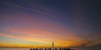 पुडुचेरी में TVK अकेले लड़ेगी विधानसभा चुनाव, एक्टर विजय … पुडुचेरी