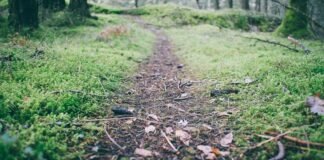 सिक्किम पर एवलांच का खतरा: नाथुला और चांगु झील समेत कई रा… सिक्किम