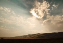 ओवैसी की बंगाल में एंट्री से बिगड़ेगा ममता बनर्जी का खेल? ओवैसी