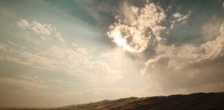 ओवैसी की बंगाल में एंट्री से बिगड़ेगा ममता बनर्जी का खेल? ओवैसी