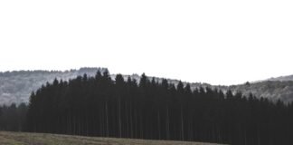 फोटो गैलरी फोटो