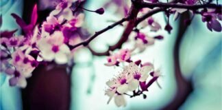 हरियाणा के सोनीपत में तेज रफ्तार का कहर, 7 दोस्तों की कार… हरियाणा