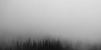 असम के एयरफोर्स स्टेशन से पाकिस्तानी जासूस गिरफ्तार, छबुआ… असम