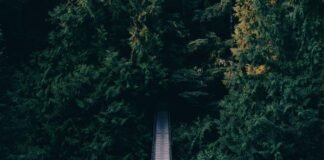 बंगाल में तय हो गया ममता बनर्जी बनाम शुभेंदु अधिकारी, TMC… बंगाल