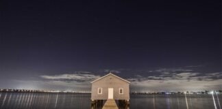 नीतीश कुमार के दिल्ली जाने पर सम्राट चौधरी का पहली बार आय… नीतीश