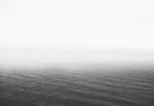 सुरक्षा गारंटी मिलने के बाद बांग्लादेश के क्रिकेटरों को स… सुरक्षा