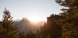 गुजरात के राज्यपाल देवव्रत आर्य ने किया भिवानी में वेलनेस… गुजरात