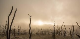 निर्वाचन आयोग के पत्र पर केरल भाजपा की मुहर से विवाद; आयो… निर्वाचन