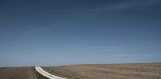 आदिवासी वोटों का बंटवारा! असम में कांग्रेस को 'अपनों… आदिवासी