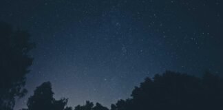 रुधौली में वार्षिक खेलकूद प्रतियोगिता का आयोजन: वॉलीबॉल औ… रुधौली