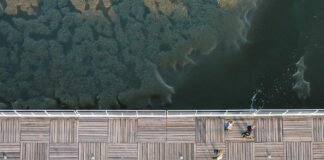 Gold Price Today: सोना हुआ धड़ाम, चांदी भी फिसली, दरभंगा … Gold