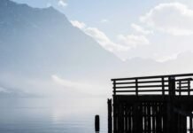 Shimla News: खेल परिसर के शौचालयों में पानी
नहीं, खिलाड़ी… Shimla