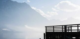 Shimla News: खेल परिसर के शौचालयों में पानी
नहीं, खिलाड़ी… Shimla