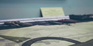 Rohtak में पिटबुल का हमला: बैंक मैनेजर के बेटे के पेट पर … Rohtak