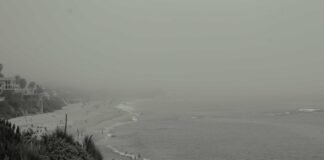 Stocks to Buy: भारी गिरावट से आज उबरेगा बाजार? Mask Inves… Stocks