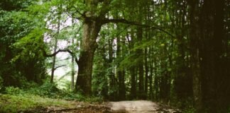 UP Weather Today, 24 March: लखनऊ, आगरा, गाजियाबाद सहित प्… Weather