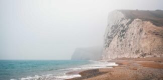 इलेक्ट्रिक शोरूम में भडक़ी आग, चंडीगढ़ औद्योगिक क्षेत्र फेज इलेक्ट्रिक