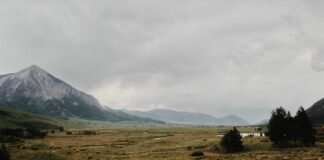 तेलंगाना : महिला की सिर कुचलकर हत्या, रात भर रोती रही ढाई… तेलंगाना