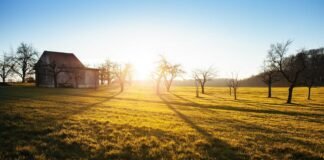 मणिपुर: बेकाबू भीड़ ने कुकी जो काउंसिल अध्यक्ष के घर में … मणिपुर