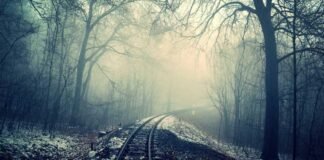 मणिपुर में 15 उग्रवादी गिरफ्तार, हथियार और विस्फोटक बरामद मणिपुर