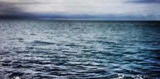 पुडुचेरी चुनाव के लिए राजग के उम्मीदवारों की सूची पुडुचेरी