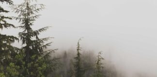 Bharatiya innovation aims to help the blind see again wit… Bharatiya