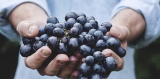 बेंगलुरु के कैफे वाले ने नींबू-पानी के बिल में वसूला ‘गैस… बेंगलुरु