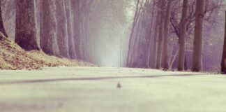 मणिपुर: अवैध पोंजी स्कीम और अलगाववादी गतिविधियों पर ED का… मणिपुर