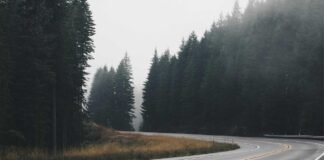 IIT गुवाहाटी ने ढूंढ निकाला एनर्जी संकट का तोड़, एक ही मश… IIT