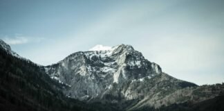 आरएसएस ने भौगोलिक आधार किए प्रांत और विभाग में परिवर्तन, … आरएसएस