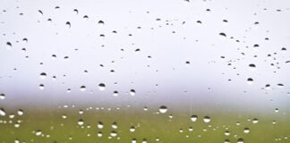 6,6,6,6,6,6… छक्कों की बारिश कर आर्य देसाई ने T20 में रच… छक्कों