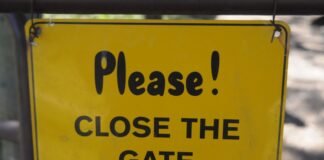 PSL के दरवाजे फैंस के लिए हुए बंद, जानें क्यों स्टेडियम म… PSL