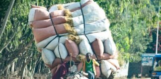 UP NEWS: फर्जी IAS पकड़ा गया, 15 लाख का चूना लगाया…दुल्हन… NEWS