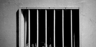 कट्टा व जिंदा कारतूस के साथ चार गिरफ्तार, ऑटो बरामद – Hin…