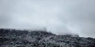 Photos : पहाड़ों में लौटी सर्दियां! देखिए चकराता के लोखंड… Photos