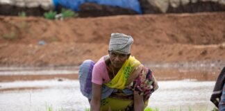 Tamil Nadu: घरेलू हिंसा से तंग आकर पत्नी ने सोते हुए पति … Tamil